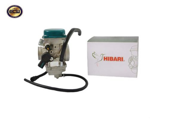 Carburador HIBARI PLSR 200 NS/AS